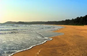 diveagar